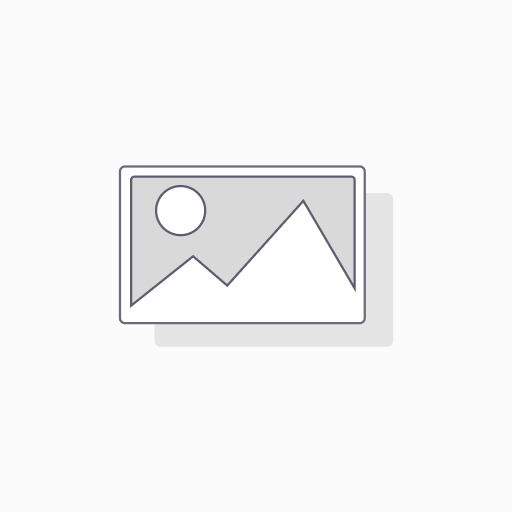 Voorlopige SSL